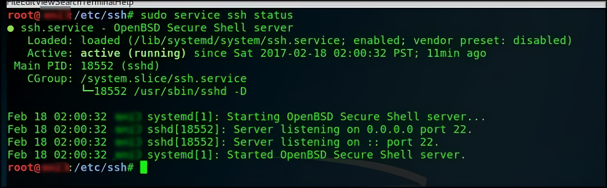 SSH консоль. Служба SSH. Raspberry Pi включить SSH. Kali Linux Raspberry SSH. Enable ssh